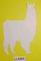 llama