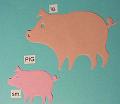 pig3