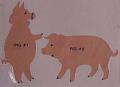 pigs