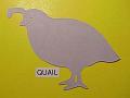 quail