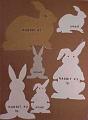 rabbits