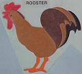rooster