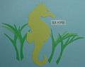 seahorse