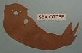 seaotter