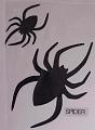 spider