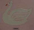 swan