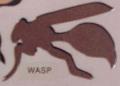 wasp