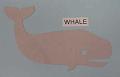 whale