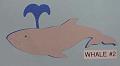 whale2