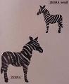 zebra