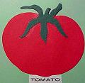 tomato