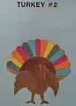 turkey2