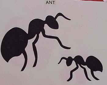ant.jpg