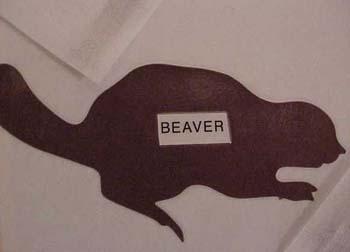 beaver.jpg