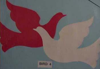 bird4.jpg