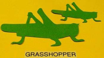 grasshopper.jpg
