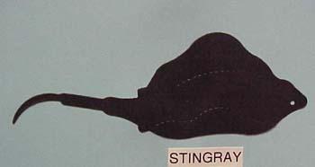stingray.jpg