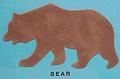 bear