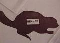 beaver