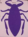 beetleXL