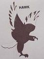 hawk
