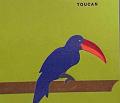 toucan