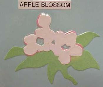 appleblossom.jpg