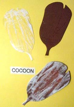 cocoon.jpg