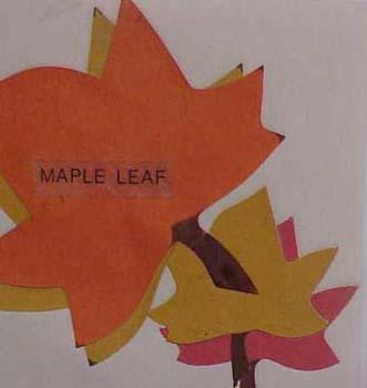mapleleaf.jpg