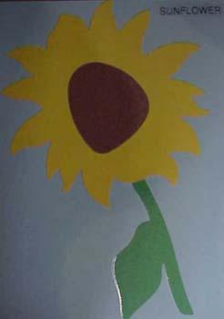 sunflowerXL.jpg
