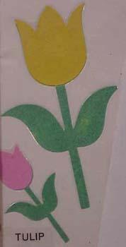 tulip.jpg