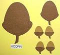 acorn