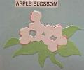 appleblossom
