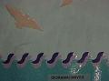 dioramawaves
