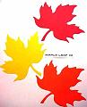 mapleleaf2