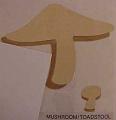 mushroomtoadstool