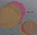 shell2
