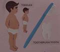 toddlertoothbrushtooth