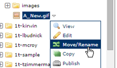 rename move file